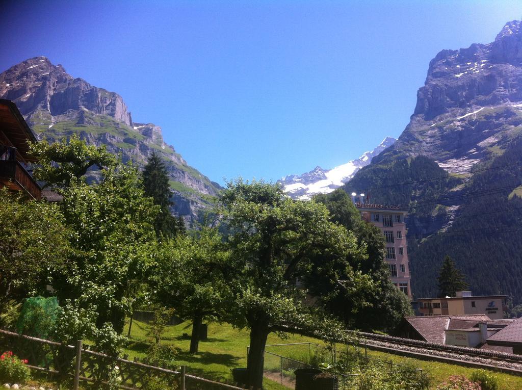 Ferienwohnung Alpengluehen Grindelwald Buitenkant foto